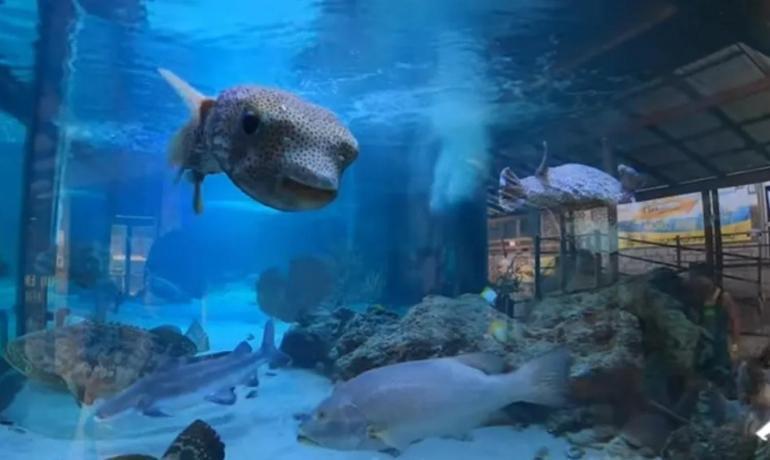 Casa Thalasea サンタ・マルタ エクステリア 写真